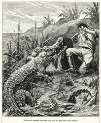 Warburton ramde mantel en zweep in de open kaken van het dier